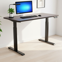 Bureaux de travail réglables en hauteur électriques avec logo personnalisé, avec double moteur, table d'ordinateur, cadre de bureau électrique debout