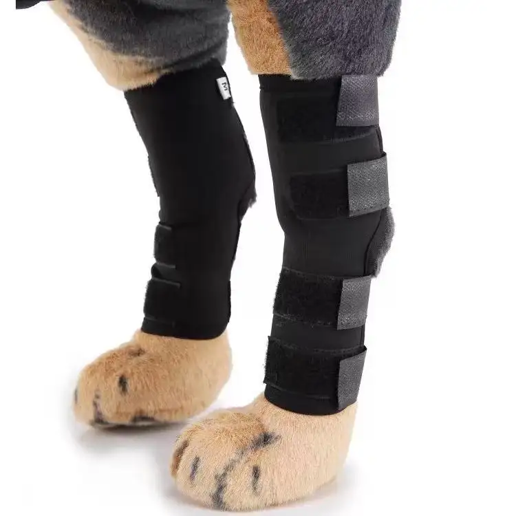 Recovery Protector Sleeve Dog Knee Brace Neoprene Dog Leg Hock ankle Brace for Joint Elbow Support