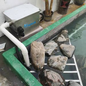 Filtre pour bassin d'eau douce, bassin <span class=keywords><strong>de</strong></span> jardin, villa, paysage, bassin <span class=keywords><strong>de</strong></span> pêche, aquariums, conception personnalisée - Product Image 4