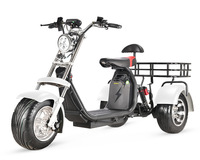 Tricycle à trois roues pour adulte Trike, Scooter électrique à 3 roues 2000w Fat, vélo de ville électrique