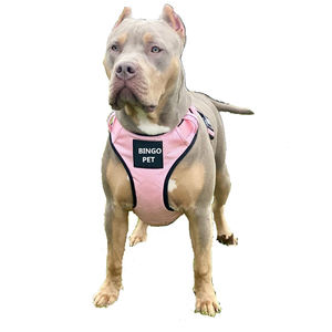 Áo phao cho chó Bully bằng chất liệu Neoprene mềm cao cấp - Product Image 2