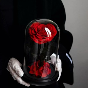 Vendita all'Ingrosso: Rosa Eterna a Forma di Cuore del Piccolo Principe con Cupola di Vetro, Regalo Perfetto <span class=keywords><strong>per</strong></span> <span class=keywords><strong>Lei</strong></span>, <span class=keywords><strong>San</strong></span> <span class=keywords><strong>Valentino</strong></span>, Natale, Festa della Mamma - Product Image 1