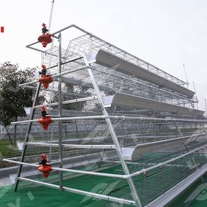 120 tavuk yetiştiriciliği tavuk tabakası kafes galvanizli pil döşeme tavuk tabakası yumurta tavuk kafesi - Product Image 1