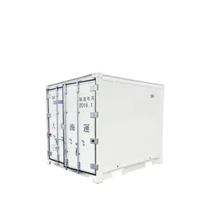 出售的高品质冷藏集装箱10英尺冷冻集装箱