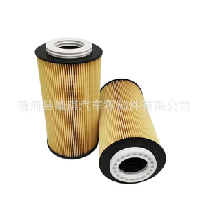 Filtre à huile Daf 2151728 2234788 2047411 E903HD436 pour remplacement du moteur de camion - Product Image 3