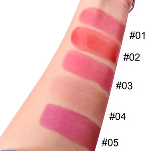 Schwarzer rouge-stick farbwechsel individualisierte eigenmarke make-up rouge-rose rouge-stick