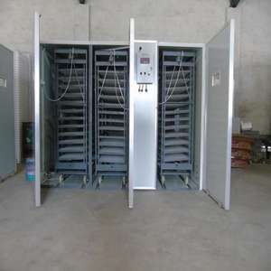 Nouvel incubateur d'œufs grande capacité 10000 places, retournement automatique, taux d'éclosion de 90% pour oiseaux, reptiles, autruches, dindes, 220V haute performance - Product Image 6