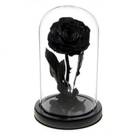 Hochwertiges konserviertes Rosen glaskuppel produkt für Weihnachts geschenke zum Valentinstag des kleinen Prinzen-langlebig