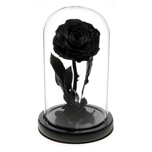 Produit dôme en verre rose préservé de haute qualité pour les cadeaux de Noël et <span class=keywords><strong>du</strong></span> Nouvel An de <span class=keywords><strong>la</strong></span> Saint-Valentin <span class=keywords><strong>du</strong></span> <span class=keywords><strong>Petit</strong></span> <span class=keywords><strong>Prince</strong></span>-longue durée - Product Image 4