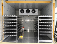 Équipement de chambre froide haute efficacité, chambre de congélation personnalisée, chambre froide commerciale, chambre froide de plain-pied, chambre froide industrielle