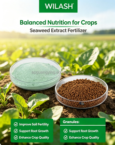 <span class=keywords><strong>ปุ๋ย</strong></span>สาหร่ายสูตร NPK ละลายน้ำได้ (แบบผงและแบบเม็ด) - Product Image 5