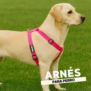Arnés Reflectante de Nailon para Perro Yommy, Ajustable en Cuatro Puntos, Anti-Tirones, Distribución de Presión, Ajuste Cómodo - Product Image 4