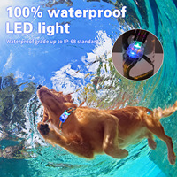 Collier pour chien LED rechargeable par USB, coloré, lumineux, réfléchissant, réglable en nylon, pour la sécurité nocturne, la marche et la randonnée
