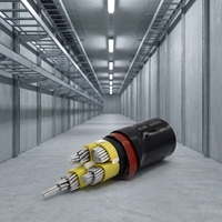 Câble d'alimentation en cuivre NYY PVC 0,6/1 kV pour l'approvisionnement des usines de fabrication de fixations de roulements et des ateliers de traitement thermique et de rectification