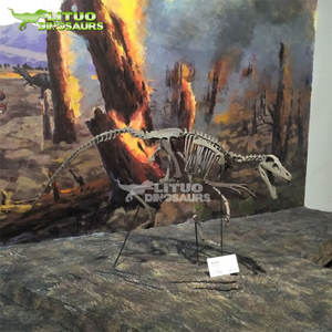 <span class=keywords><strong>Esqueleto</strong></span> <span class=keywords><strong>de</strong></span> <span class=keywords><strong>Velociraptor</strong></span> a Tamaño Real con Calidad <span class=keywords><strong>de</strong></span> Museo, Fósil <span class=keywords><strong>de</strong></span> Resina para Interiores, Centros Comerciales, Aeropuertos, Guarderías y Jardines <span class=keywords><strong>de</strong></span> Infancia - Product Image 5