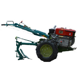 أرض زراعية قطعة أرض صغيرة مزروعة بستان أرضي زراعية المشي في الفراولة تخندق البصل الأخضر - Product Image 2