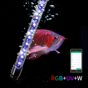 Arowana Tanning Light: Best Picks for 2025