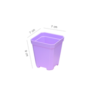 Macetas Cuadradas de Plástico Negro, Mini, Gruesas y Coloridas, para Suculentas y Plántulas, Uso en Hogar y Oficina, Venta al Por Mayor