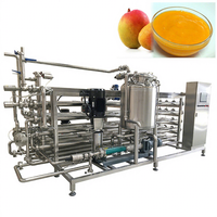 Ligne de transformation automatique de purée de mangue, pulpe de mangue, machine de transformation de jus de mangue