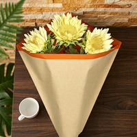 Bedruckte Einzigartige Recycelte Kunst-Kraftpapier-Hülle - Kreative Holzfaser-Pyramide für Blumen- und Pflanzenverpackungen