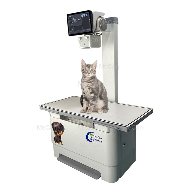 Digital Mobile X-ray Radiographic System Veterinary Xray Machine Radiography Digital X Ray Machine in Cat