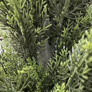 3/4/5/6 Ft Outdoor Anti UV Artificial Cedar Cypress <strong>Tree</strong> Silk Artificial Plant Decoration Plastic <strong>Tree</strong> Outdoor Plants Faux <strong>Tree</strong> - Product Image 3