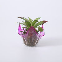 Nieuwe gebogen glazen schaal voor thuisdecoratie, feesten, herfstoogst, Thanksgiving, decoratieve bloemenschaal voor presentatie