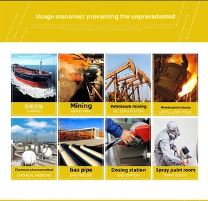 Penganalisa Gas genggam portabel BH-90A, analisis Gas hidrogen sulfida O2 konsentrator oksigen 0-100ppm - Product Image 6