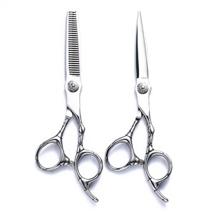 Hairdressing Scissors Set 6 Inch Stainless Steel Flat Shears Thinning Shears Hair Cutting Tools For Salon Use - Product Image 1