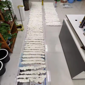 Phun chất kết dính niêm phong bọt dính Polypropylene dính <span class=keywords><strong>Sealant</strong></span> PU bọt cho đa năng - Product Image 5