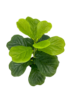 TREESMAS LY239 Décoration de jardin et de balcon, intérieur/extérieur, plantes artificielles en pot en plastique 38x50cm avec des designs personnalisés