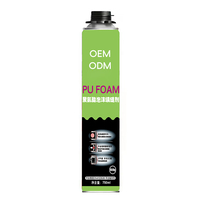 Brique de pierre PU mousse de polyuréthane Fix All Construction Forte résistance mousse PU