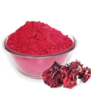 Additivi alimentari naturale ibisco Roselle polvere estratto di fiori