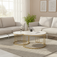 Table basse minimaliste 2-en-1 en marbre, ensemble de tables gigognes rondes modernes pour usage domestique quotidien