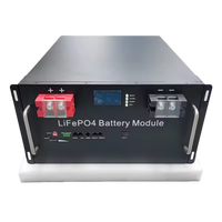 Batterie LiFePO4 48V 100Ah 15S1P, stockage d'énergie monté sur rack 51,2V pour station de base et système solaire
