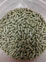 Cellules Souches de Qualité Alimentaire de Marque Ald (OEM) pour les Soins de la Peau, Capsules de Cellules Souches Végétales pour la Santé Cardiovasculaire, la Force et les Articulations