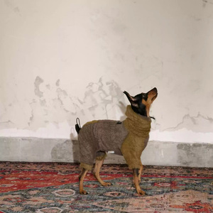 Lujoso suéter de poliéster para mascotas, suéter de diseñador hecho a medida, cómodo suéter <span class=keywords><strong>con</strong></span> capucha de perro a la moda para festivales de Navidad - Product Image 4