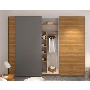 Penderies de chambre à coucher à portes coulissantes de haute qualité ACE Armoire modulaire en métal design moderne - Product Image 2