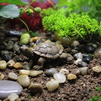 2024 nouveaux produits tortue de mer sculpture à vendre résine tortue décoration figurine souvenir résine artisanat matériaux
