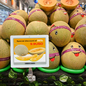 Topproduct 2025 <span class=keywords><strong>2</strong></span>.13 Inch Winkel Esl Label E-Paper Display Elektronische E-Ink Plank Etiket Voor Fruit Winkel Supermarkt Gebruik - Product Image 1