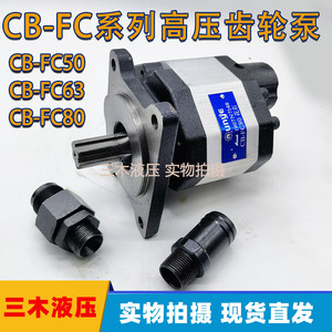 Luosheng Hydraulic Gear Pump CB FC80 350 Bar 1 Stage <b>Cast</b> Iron Electric Rotary Pump - Product Image 5