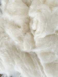 Fournisseur en gros de fibres de coton brut naturel de qualité supérieure pour la fabrication textile, le filage et l'industrie du vêtement - Product Image 2