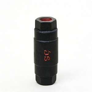 Válvula de Retención Vertical Pequeña Unidireccional H12X, Hierro Fundido Negro con Sello de Goma, Válvula de Entrada Simple para Bomba de <span class=keywords><strong>Agua</strong></span>, Válvula <span class=keywords><strong>Antirretorno</strong></span> - Product Image 1