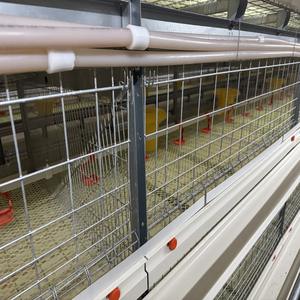 <span class=keywords><strong>Cage</strong></span> automatique à énergie solaire pour poules pondeuses pour ferme avicole Conception de <span class=keywords><strong>cage</strong></span> pour animaux à piles au Ghana - Product Image 6