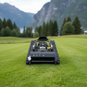 Tondeuse à gazon intelligente Lowpricecrawler avec télécommande, désherbeur rotatif, tondeuse à gazon à essence pour jardin - Product Image 3