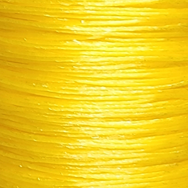MSG010