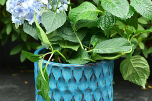 Pot de fleurs en céramique émaillée écologique et durable avec trou de drainage, bleu sarcelle, texture gaufrée en écailles de poisson, pour jardin intérieur - Product Image 5
