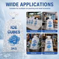 Sacs à glace en plastique alimentaire résistant aux déchirures, avec logo personnalisé, sacs à glace en LDPE
