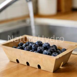 Modified Atmosphere Tray Heat Sealed Fresh Produce Paper Tray Les <strong>Barquettes</strong> En Carton Cardboard - Product Image 1