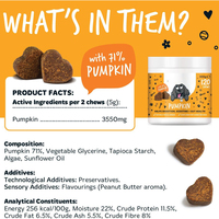 Probiotiques pour chiens OEM saveur citrouille à mâcher – Favorisent la santé intestinale, la digestion et l'immunité – Enzymes digestives